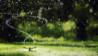 Watering Your Lawn